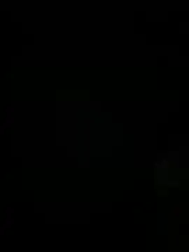 Snapshot of Furdale chatting on 11.26.25 Furdale online show from 11.26.25