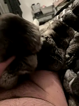 Snapshot of Furdale chatting on 12.04.25 Furdale online show from 12.04.25