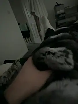 Furdale online show from 02.02.26