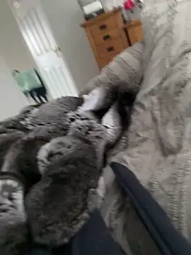 Furdale online show from 03.30.26