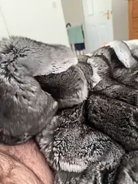 Furdale online show from 04.23.26