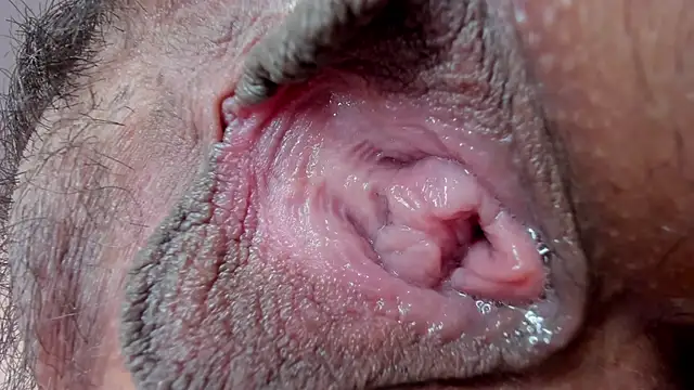 ms pickless online show from 01.27.25