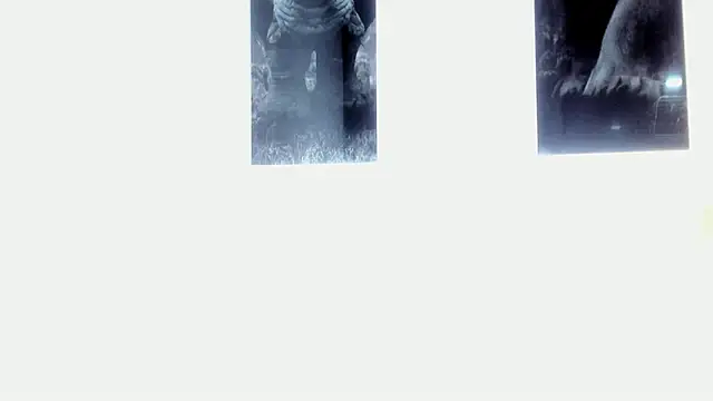 Snapshot of AlexRivera6 chatting on 03.17.25 AlexRivera6 online show from 03.17.25