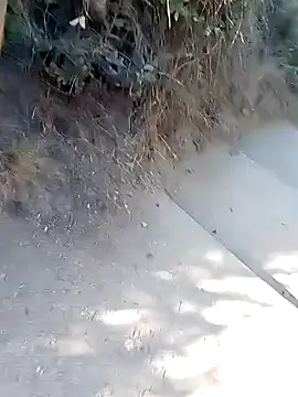 rodovlaz online show from 03.02.26