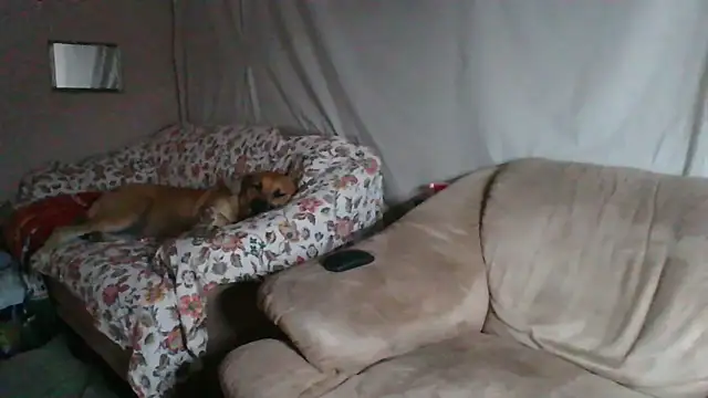 Snapshot of xykenrah48 chatting on 03.18.26 xykenrah48 online show from 03.18.26