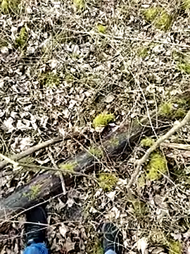 Snapshot of Boring_one chatting on 03.17.25 Boring one online show from 03.17.25