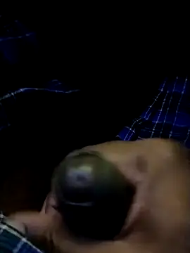 Snapshot of rajlocal chatting on 01.01.25 rajlocal online show from 01.01.25