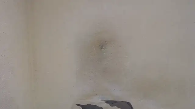 AlexNudo online show from 12.31.24