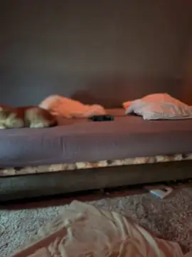 Bastet online show from 01.15.25