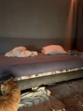 Bastet online show from 01.16.25