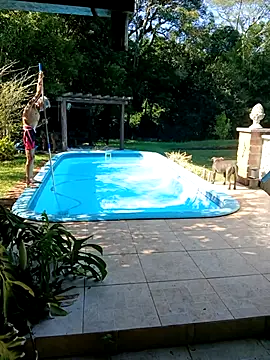 dutra498 online show from 02.03.26