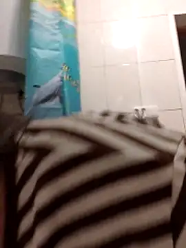 Zulfiya Bruce online show from 11.01.25