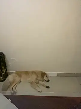 sombre sabhya online show from 03.12.26