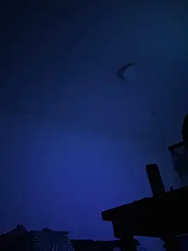 07Vu online show from 05.02.26