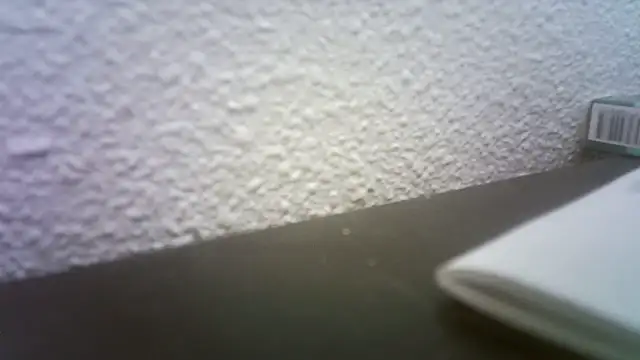 Snapshot of pau65vb chatting on 11.19.25 pau65vb online show from 11.19.25