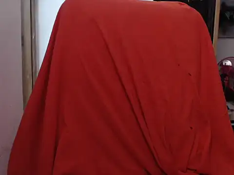 Snapshot of deftoolceles chatting on 12.25.24 deftoolceles online show from 12.25.24