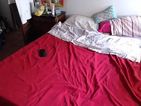 Snapshot of deftoolceles chatting on 12.26.24 deftoolceles online show from 12.26.24