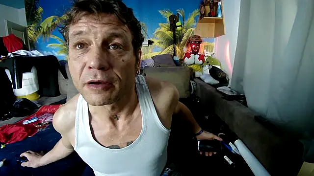 druckfug online show from 12.05.25