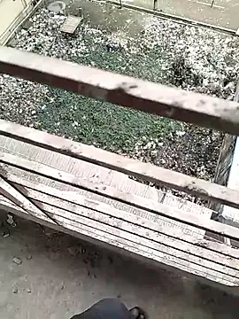 Snapshot of chittagong77 chatting on 02.22.26 chittagong77 online show from 02.22.26