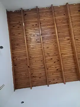 ZaraHoney online show from 01.20.25