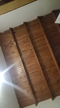 ZaraHoney online show from 10.28.25