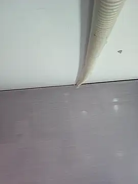 sweet lucia online show from 03.11.26