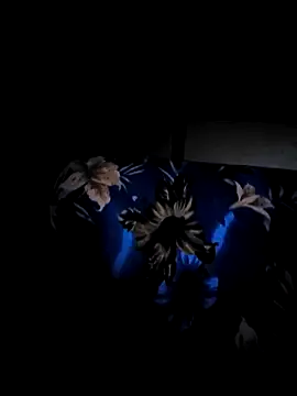 Snapshot of vansh1802 chatting on 01.29.25 vansh1802 online show from 01.29.25