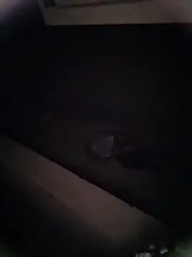 Pitercom online show from 01.09.26