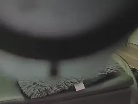 Snapshot of AwesomePapaya chatting on 11.27.25 AwesomePapaya online show from 11.27.25