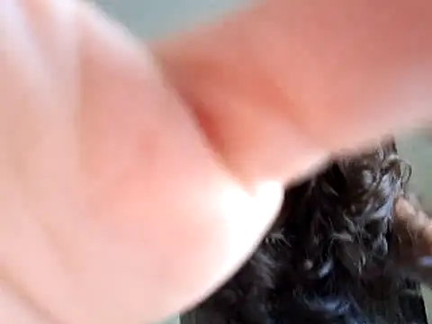 Abysparadise online show from 11.11.25