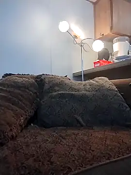 Snapshot of Yankeedave420 chatting on 03.16.26 Yankeedave420 online show from 03.16.26