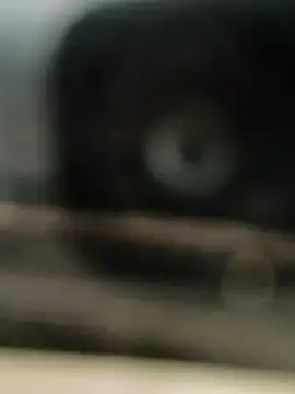 Snapshot of hornydick4you chatting on 03.02.25 hornydick4you online show from 03.02.25