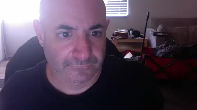 palidin1 online show from 11.24.25