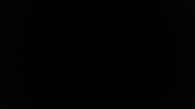 palidin1 online show from 11.26.25