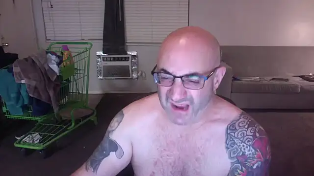 palidin1 online show from 11.26.25