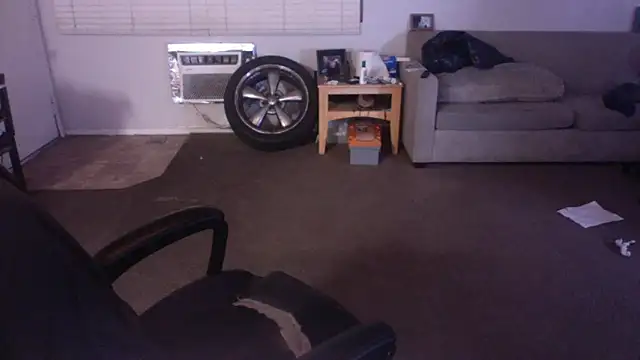 palidin1 online show from 04.17.26