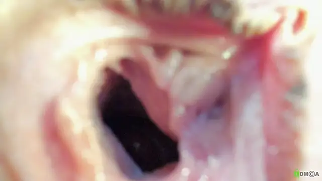 Courtney Luv online show from 09.19.25