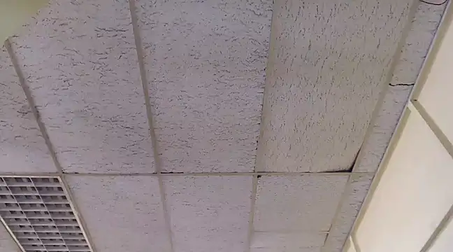 Mydreamgirrl online show from 03.06.25