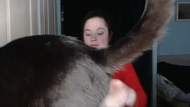 ryhhnnagold99 online show from 02.08.26