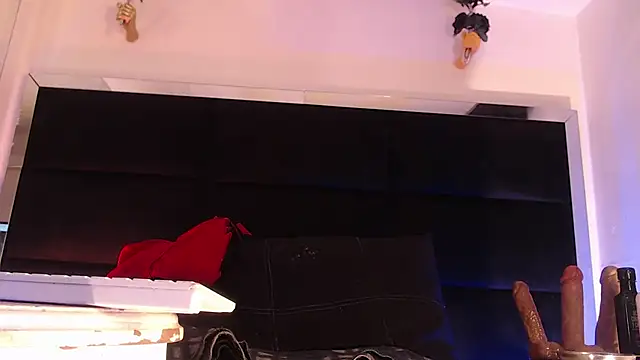 StefyFerrer online show from 07.12.26