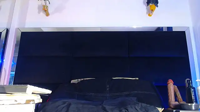 StefyFerrer online show from 08.02.26