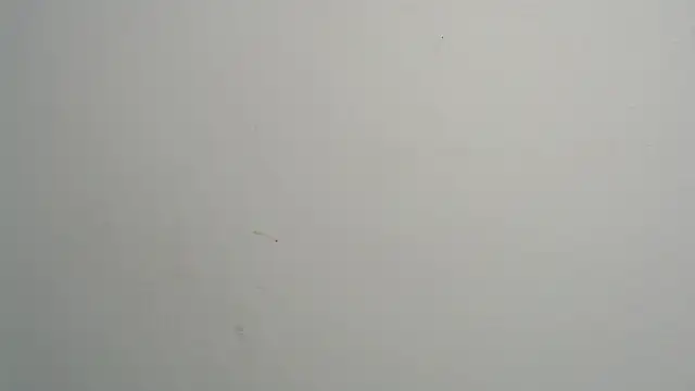 Snapshot of amy_le01 chatting on 02.28.25 amy le01 online show from 02.28.25