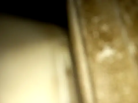 Snapshot of jonjob44 chatting on 12.14.25 jonjob44 online show from 12.14.25