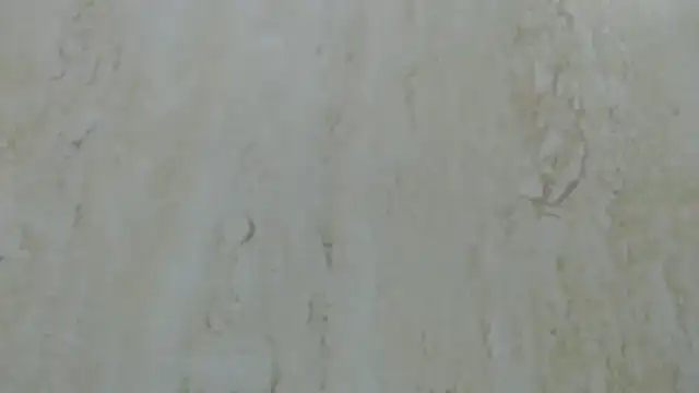 Snapshot of Crazy_team_ chatting on 12.20.24 Crazy team online show from 12.20.24