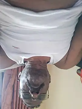 Maddymissile online show from 03.16.26