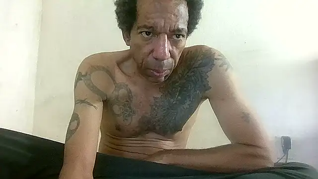 247Srokin online show from 11.11.25