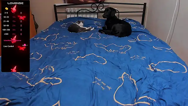 Snapshot of eva_zero chatting on 10.05.25 eva zero online show from 10.05.25