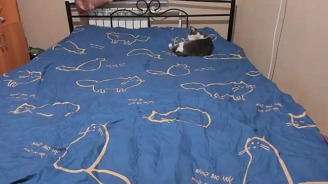 eva zero online show from 12.17.25