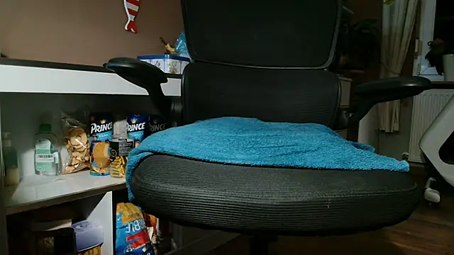 suedel65 online show from 11.13.25