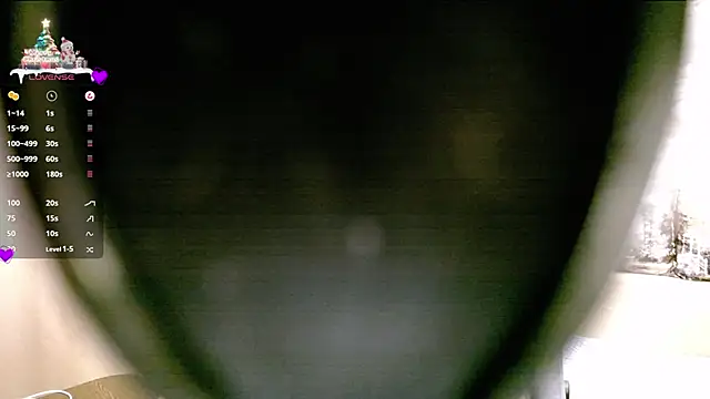 Snapshot of SerzhKorol1 chatting on 12.24.24 SerzhKorol1 online show from 12.24.24